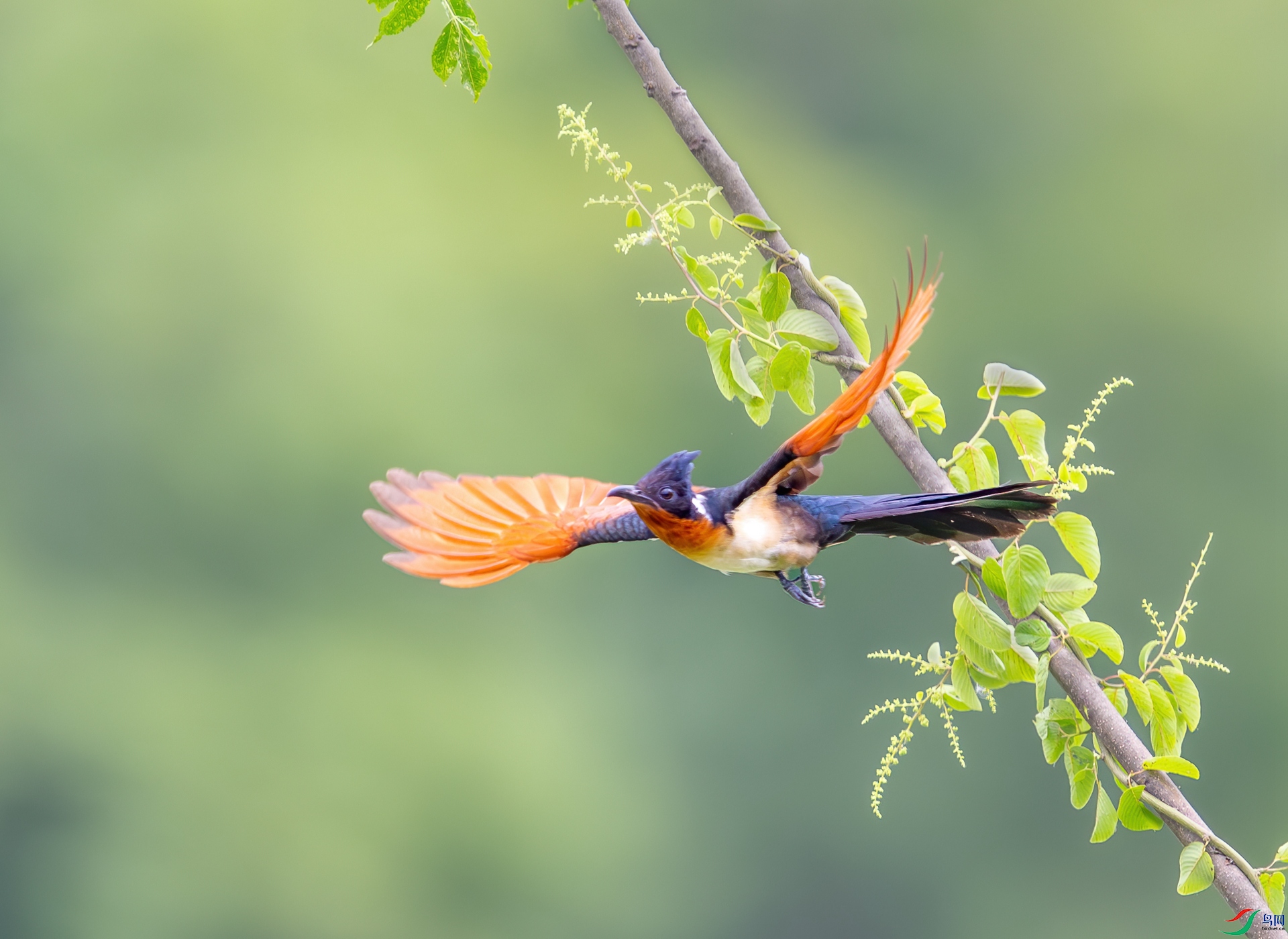 DSC_4186-1.jpg