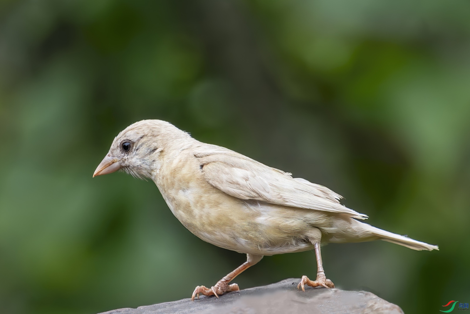DSC_5495.jpg