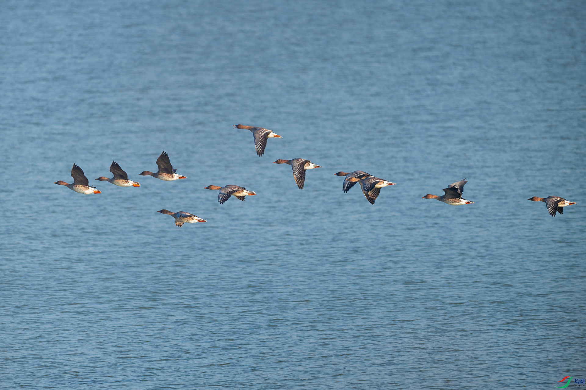 DSC_7988.jpg