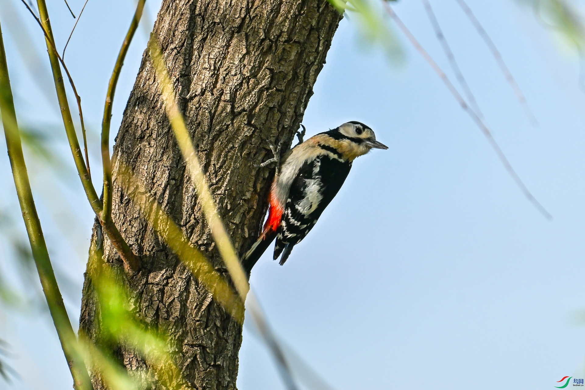 DSC_2823_����.jpg