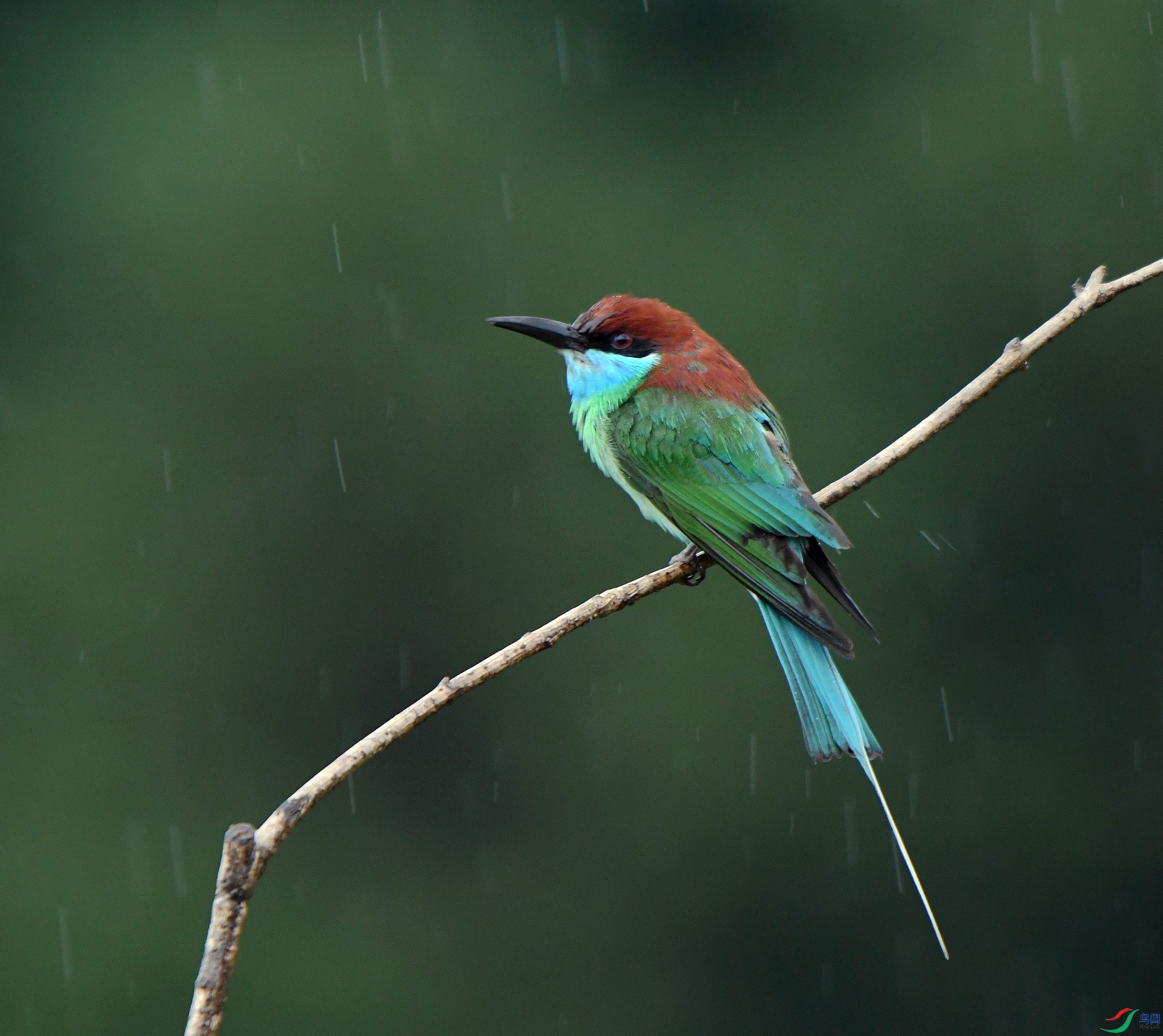 DSC_0172.jpg