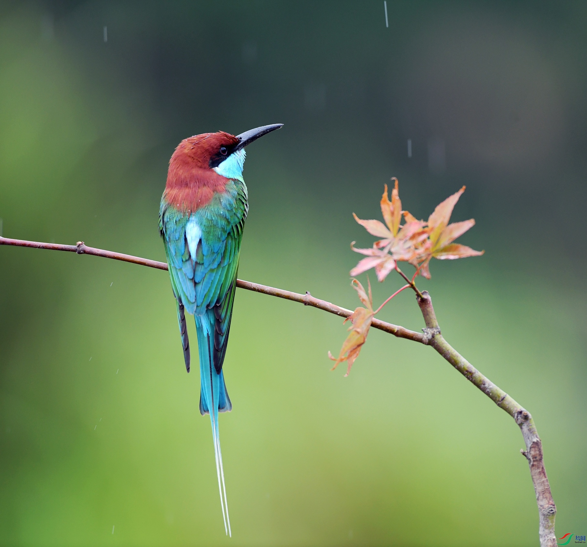 DSC_7540.jpg