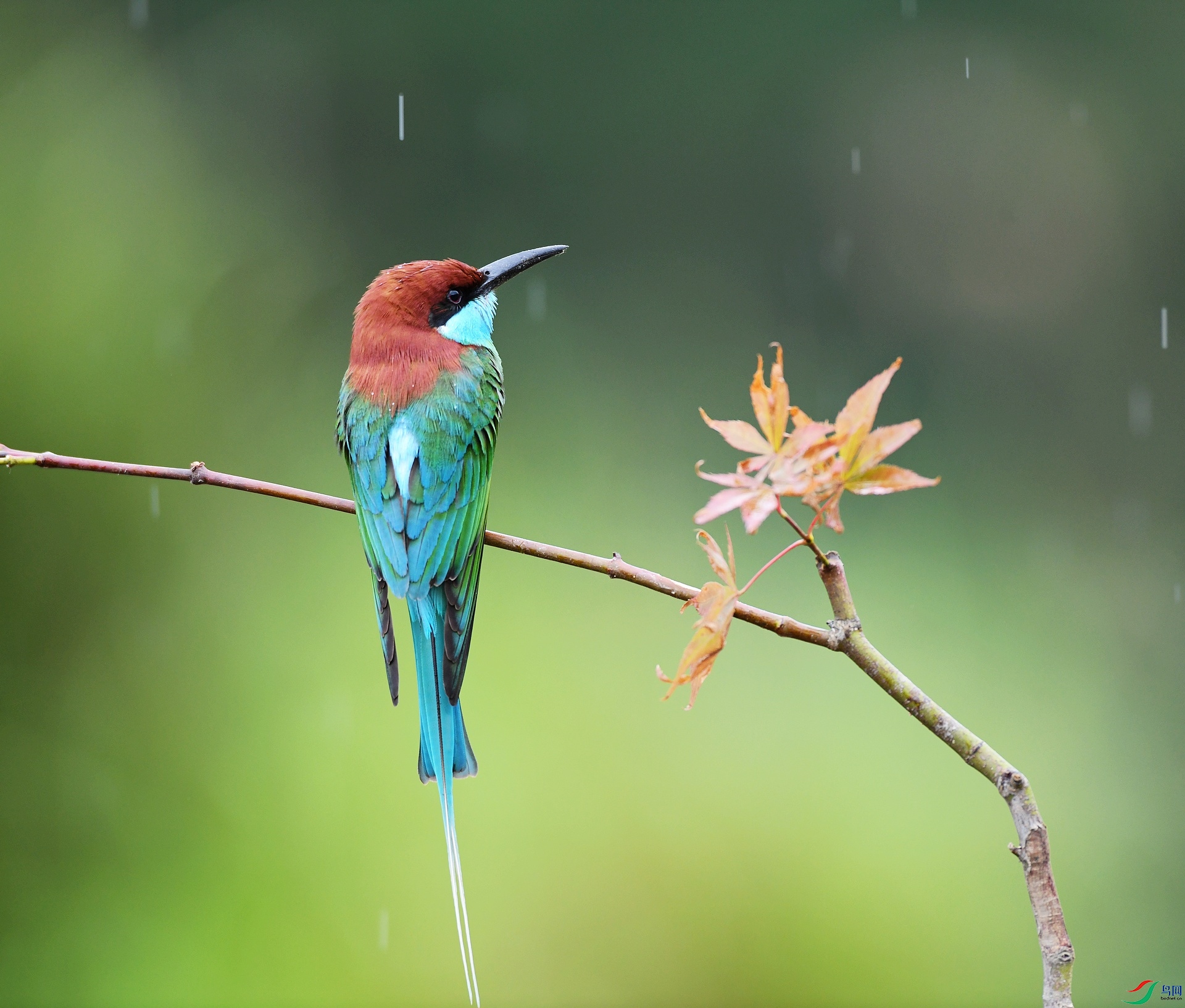 DSC_7541.jpg