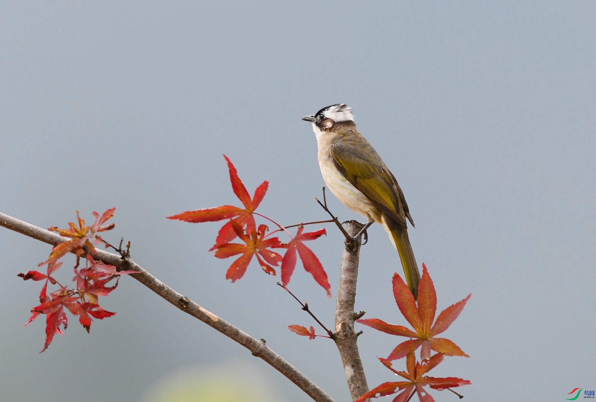 DSC_2054.jpg