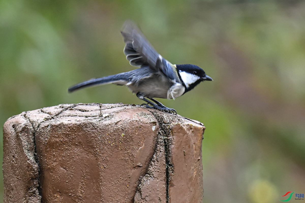 DSC_1886.jpg