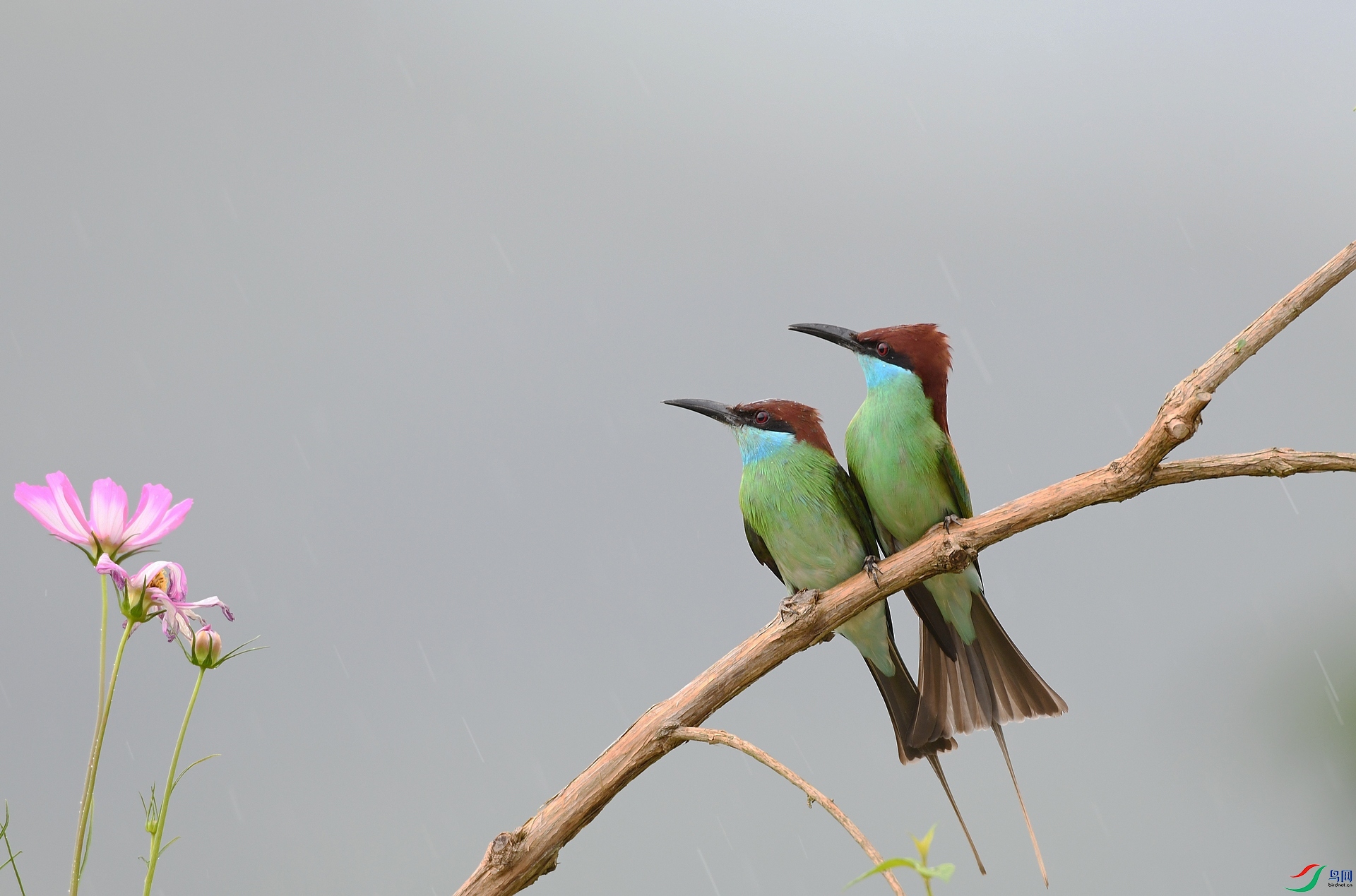 DSC_1331.jpg