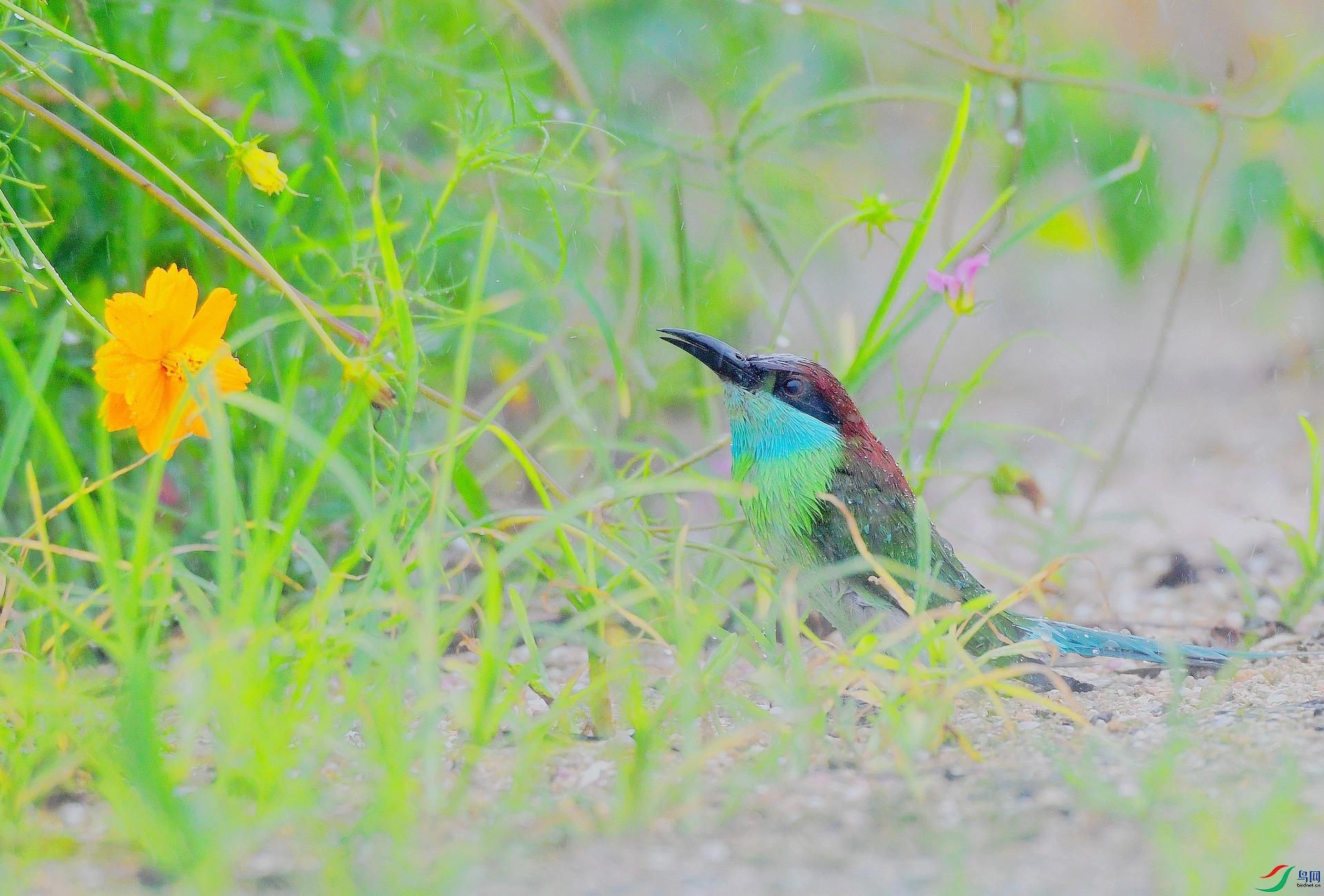 DSC_1432.jpg