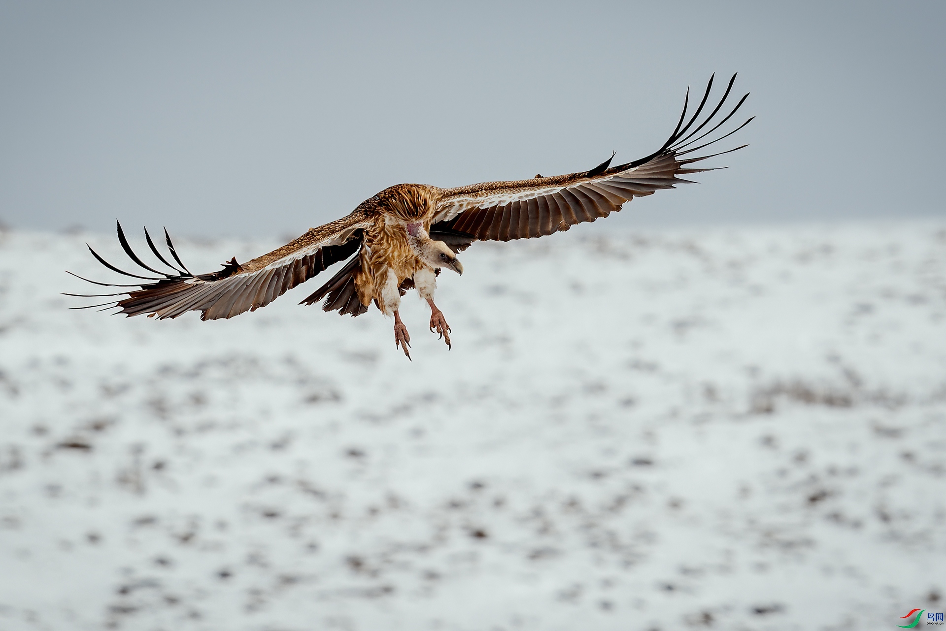 _DSC3934-1.jpg