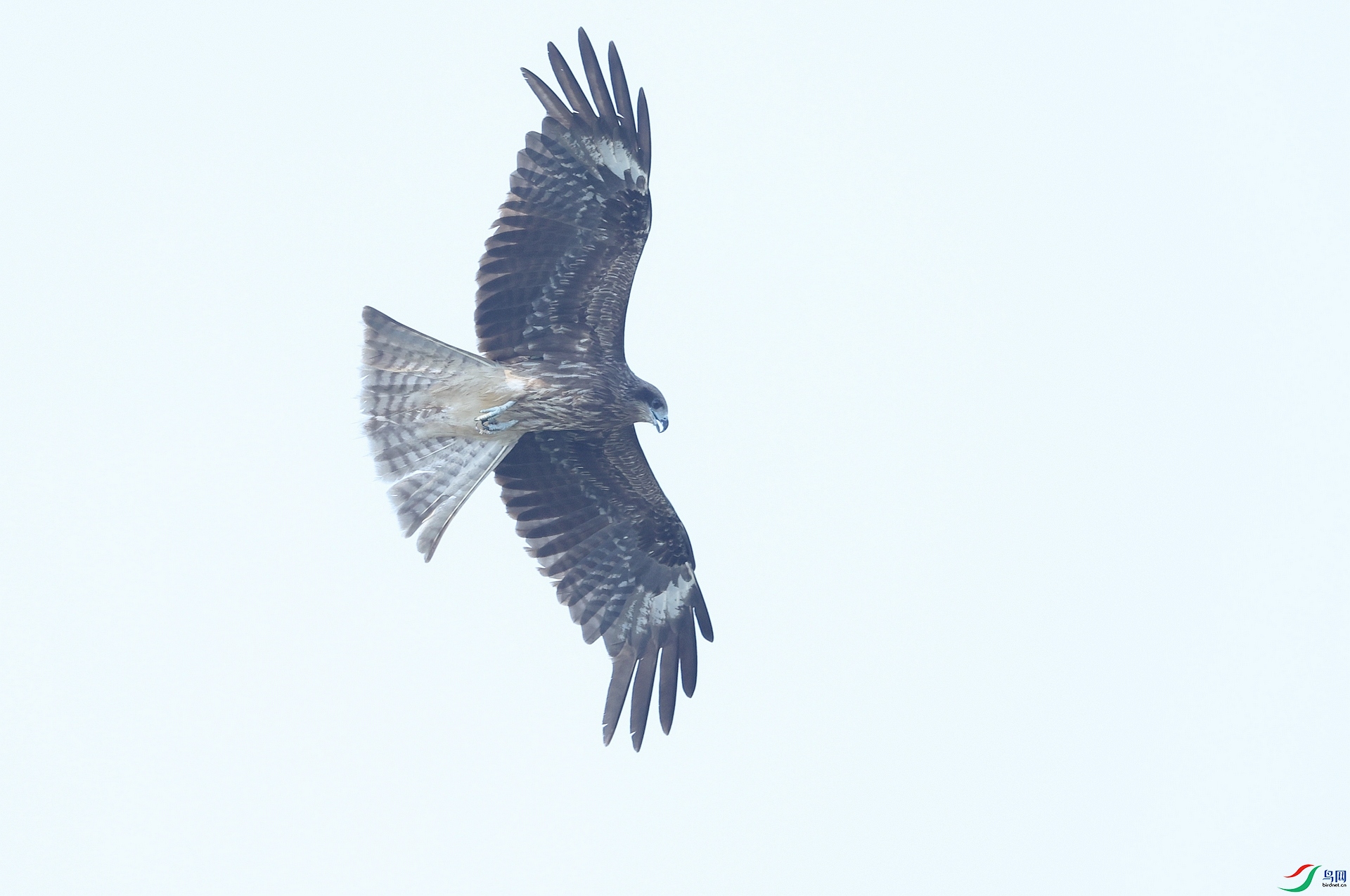 113A7934�ڶ��.JPG