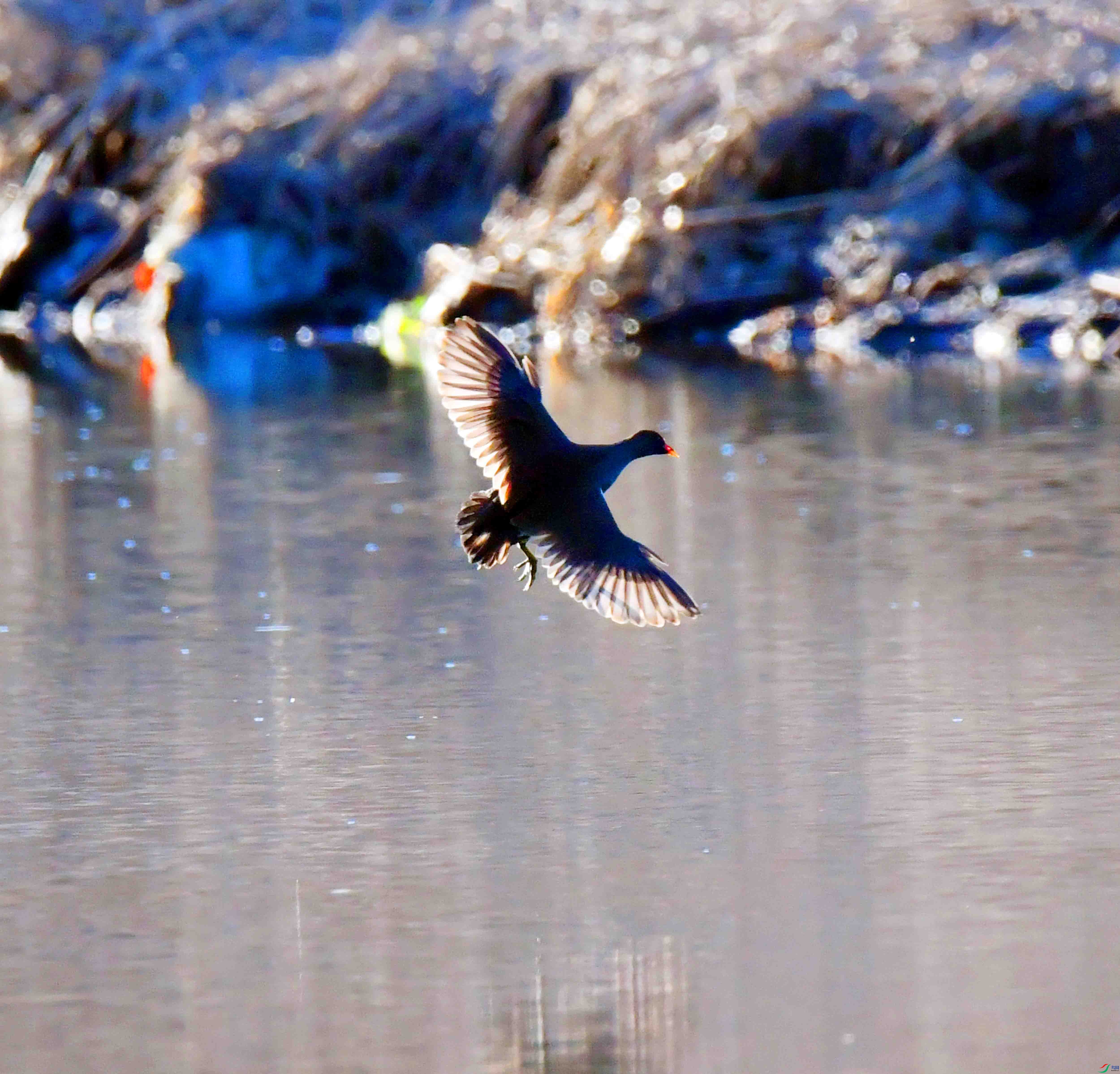 DSC_1659.JPG