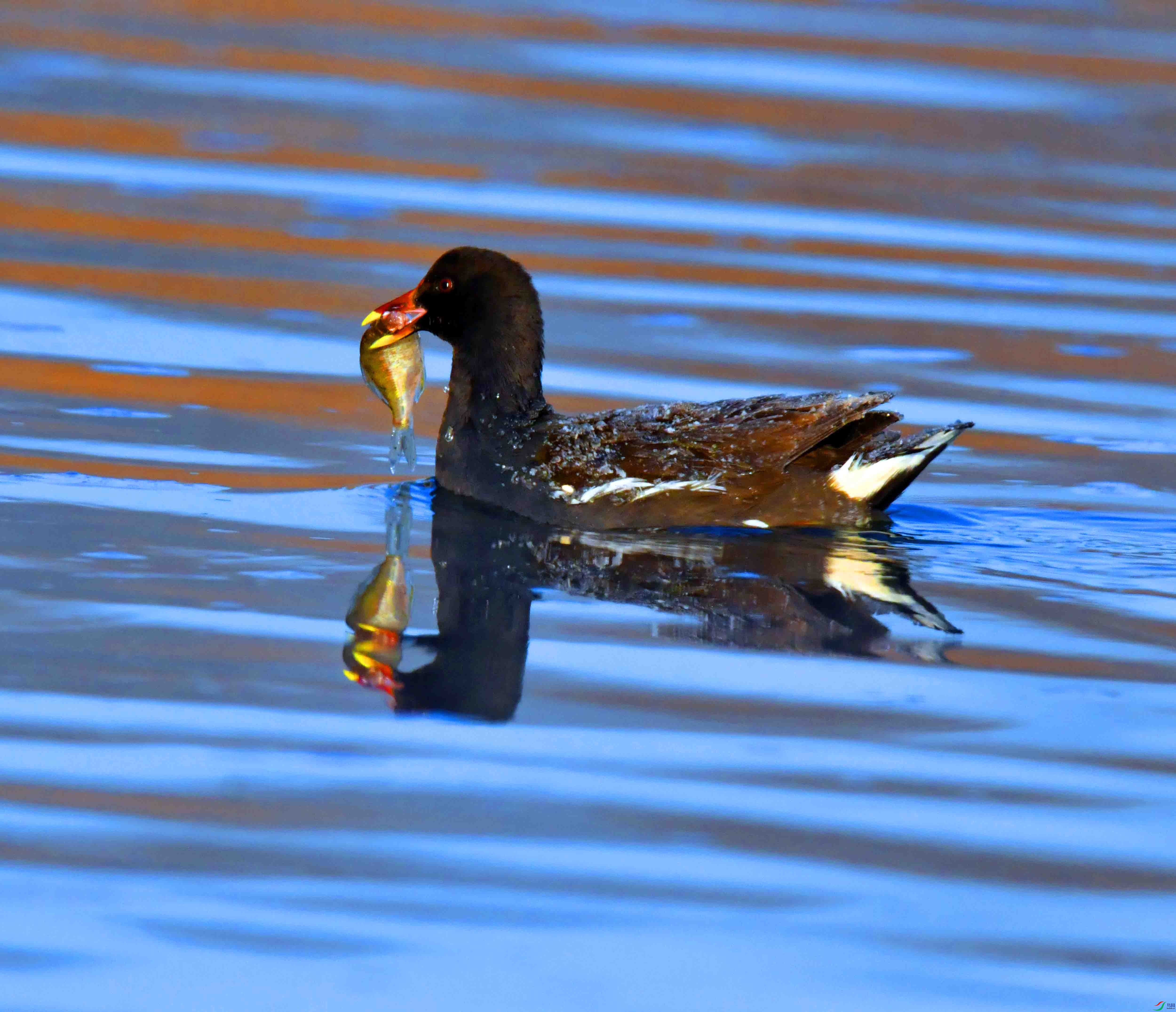 DSC_5246.JPG