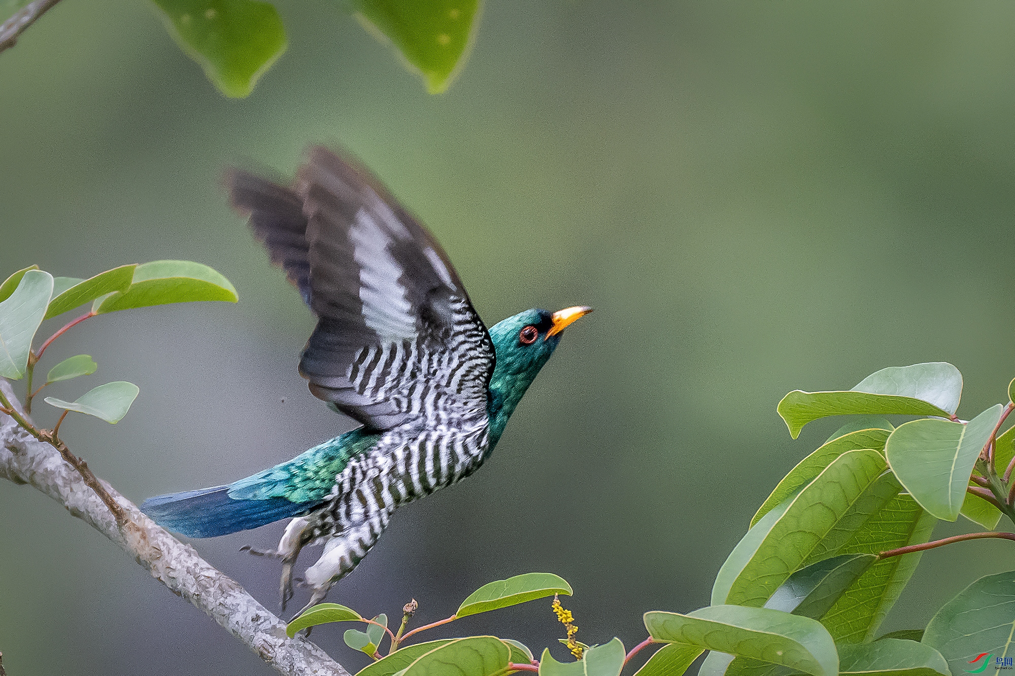DSC_4284-1.jpg
