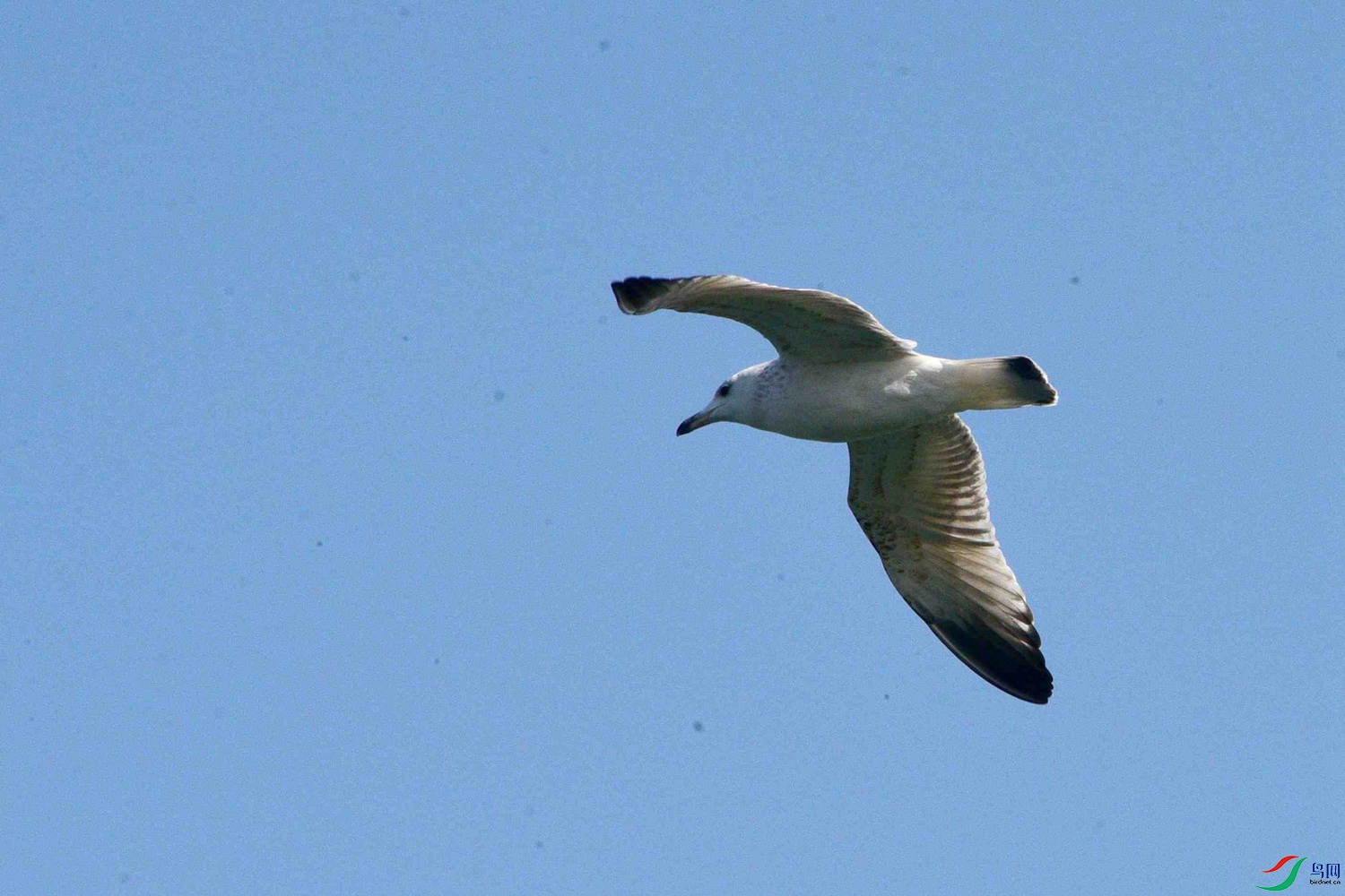 DSC_9760.JPG