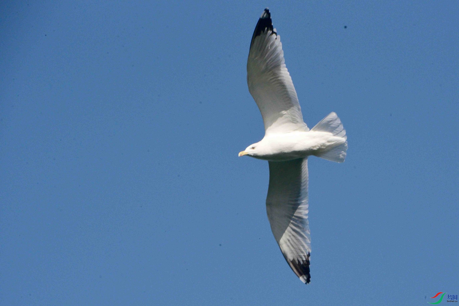 DSC_9790.JPG