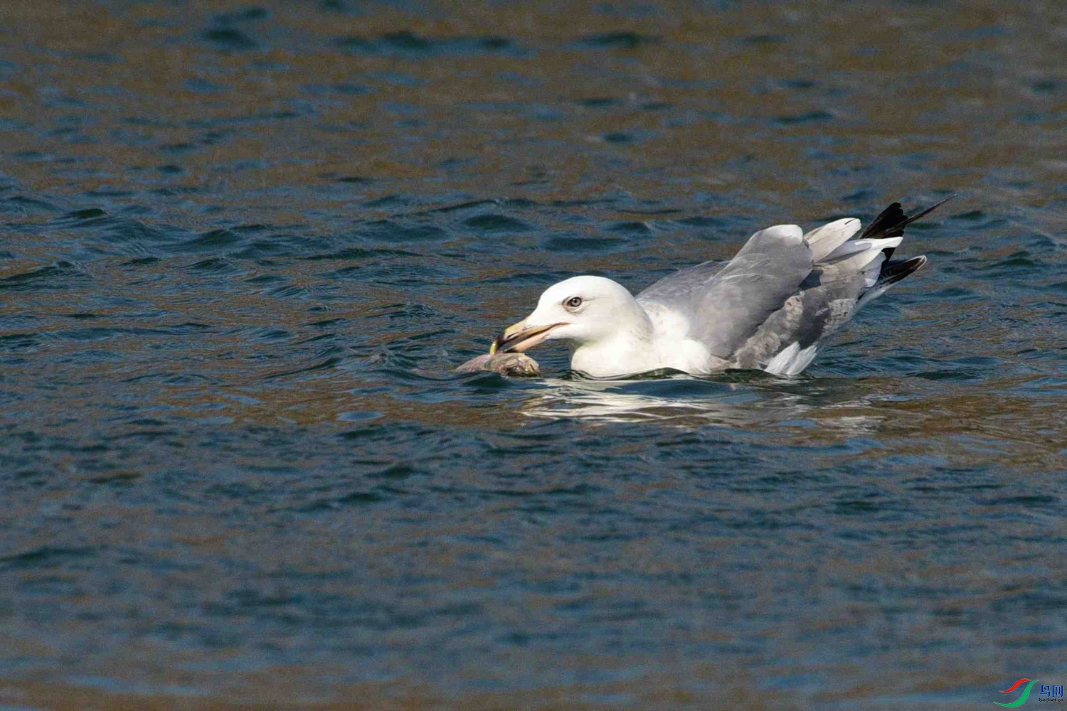 DSC_0654.JPG