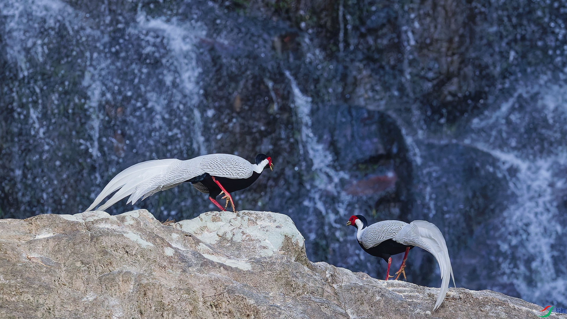 DSC_0718_DxO_DxOa.jpg