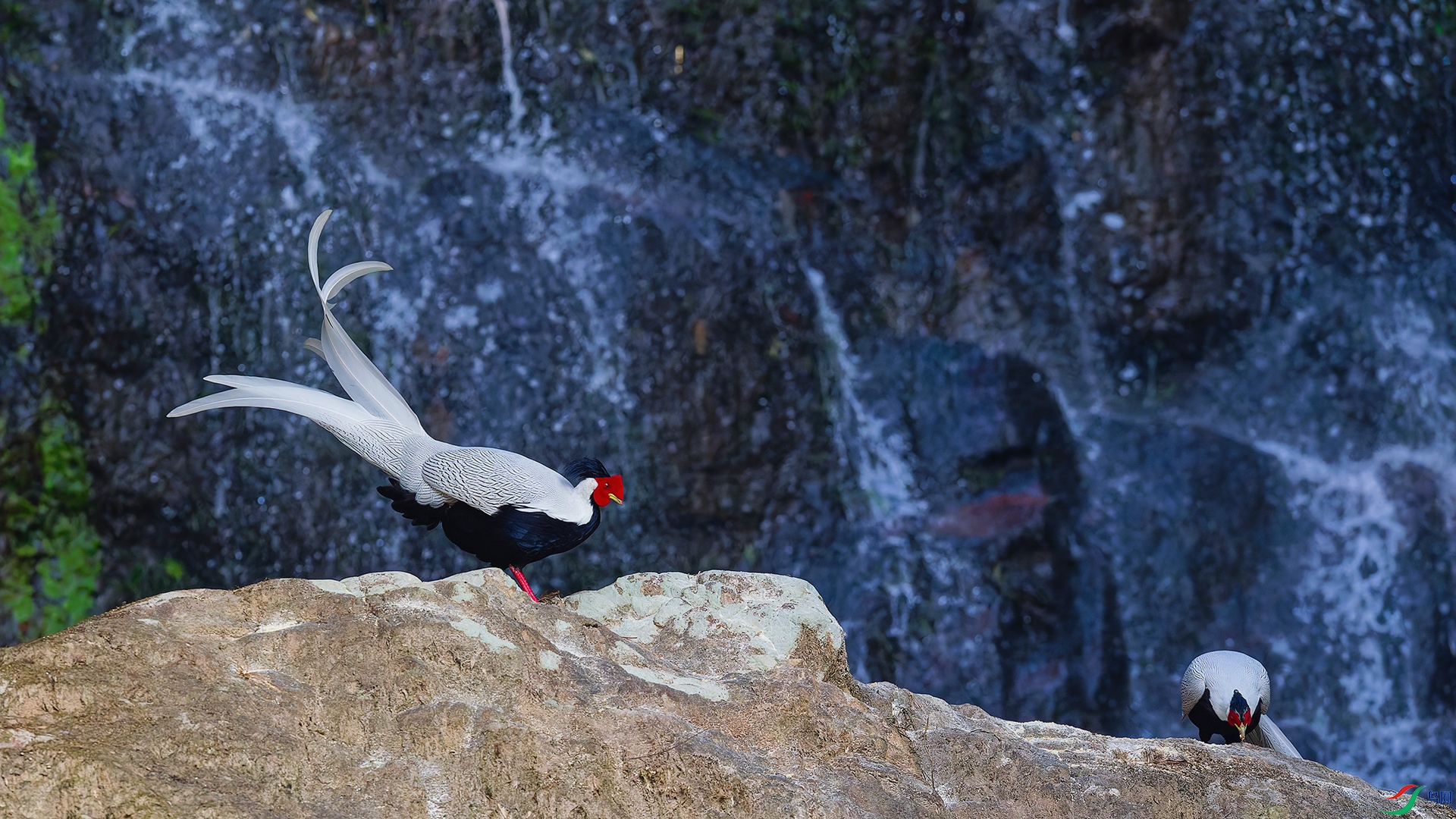 4DSC_0734_DxO_DxOa.jpg