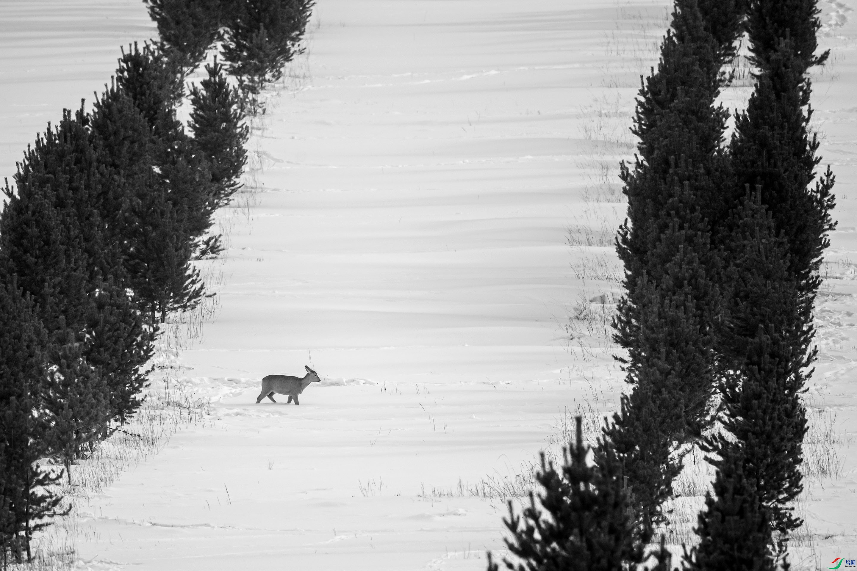 _DSC31150.jpg