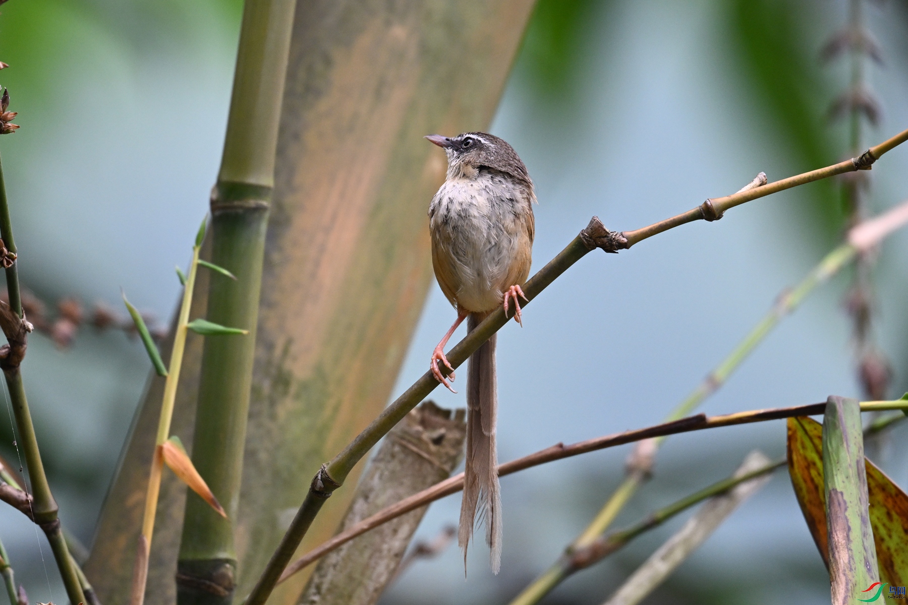 DSC_0431.JPG