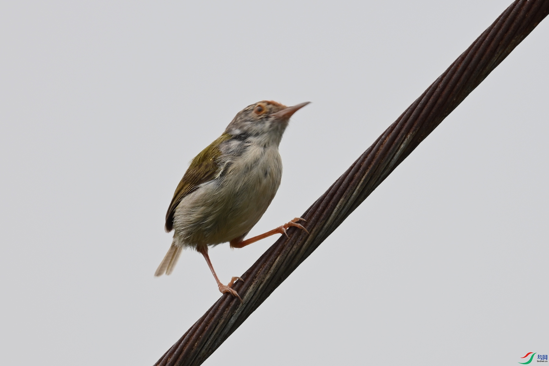 DSC_0448.JPG