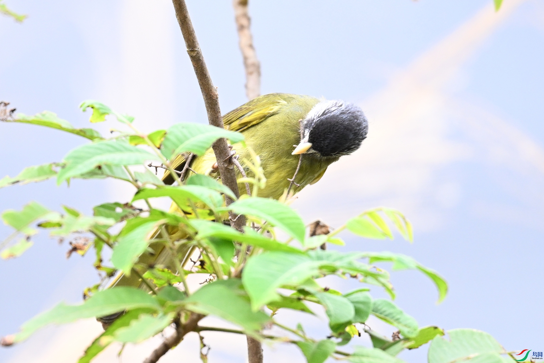 DSC_0456.JPG
