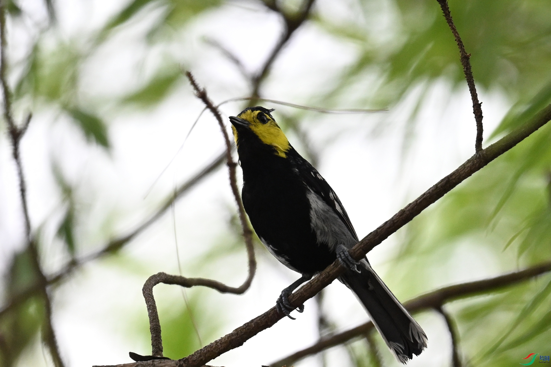 DSC_0496.JPG