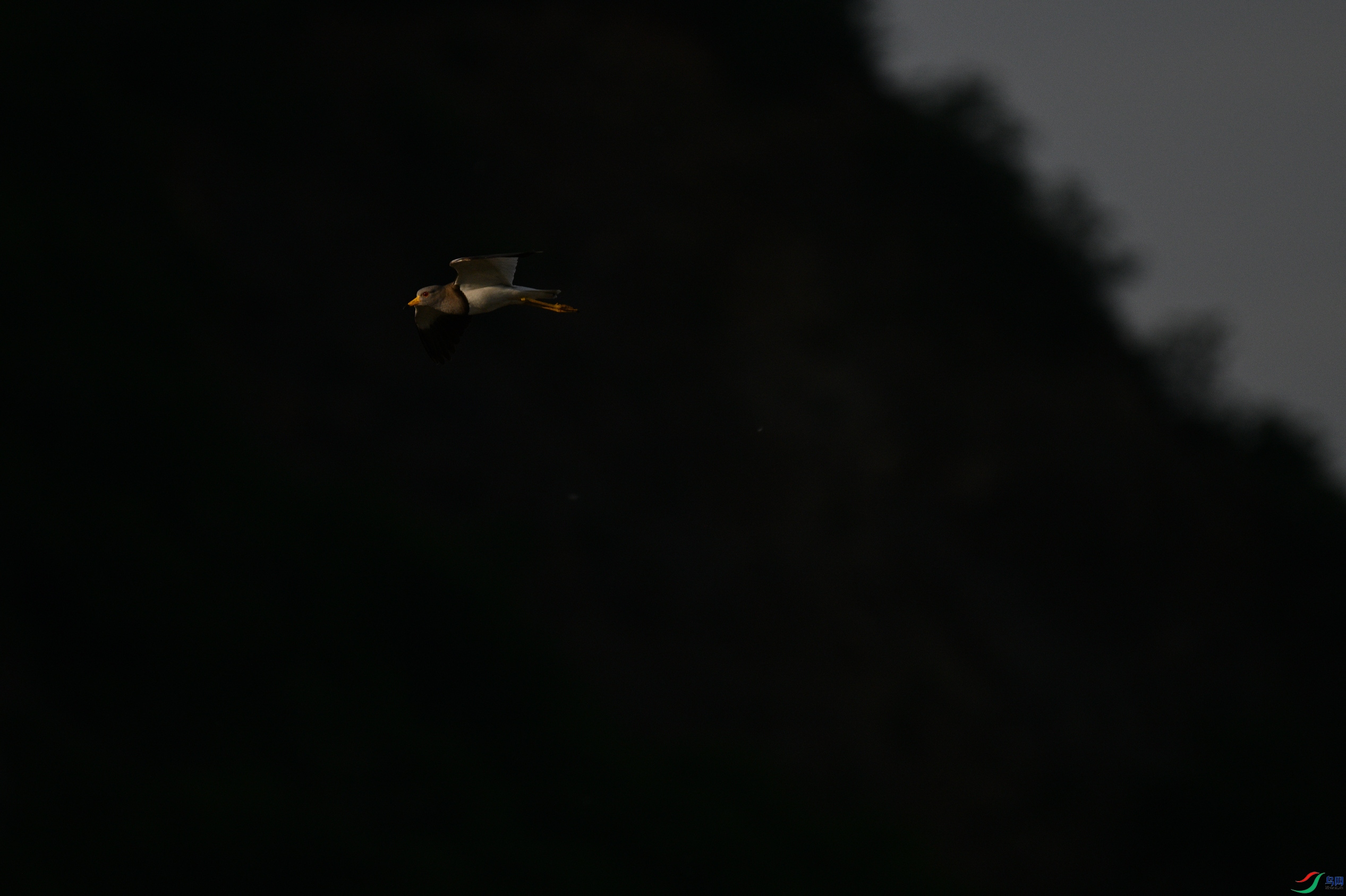 DSC_9358_����.jpg