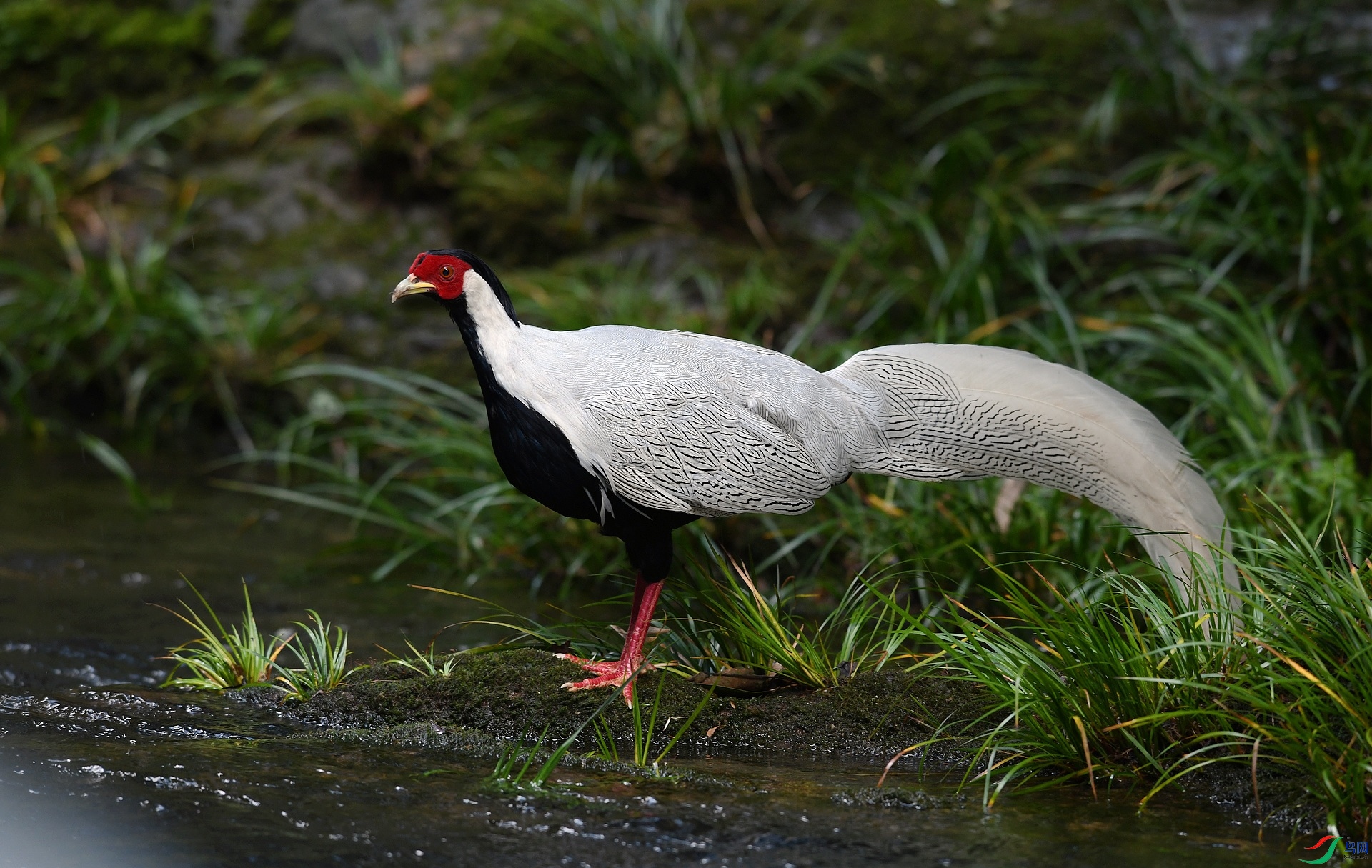 DSC_6109.jpg