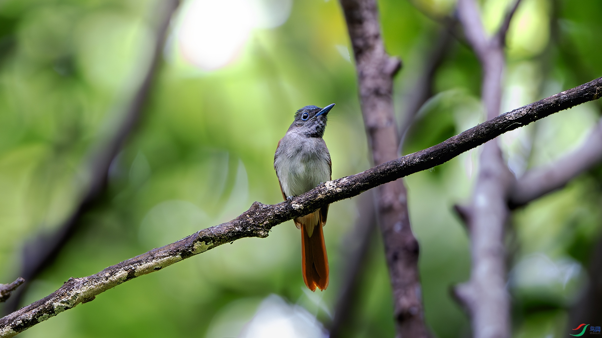 DSC_7969-����ǿ-NR ����.jpg