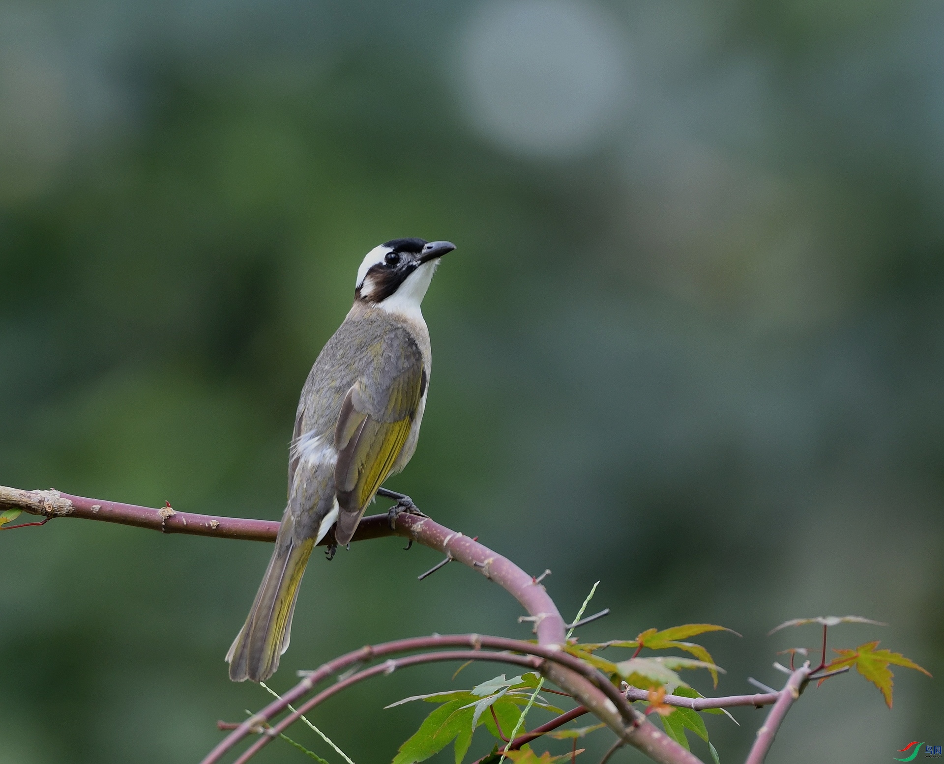 DSC_1025.jpg