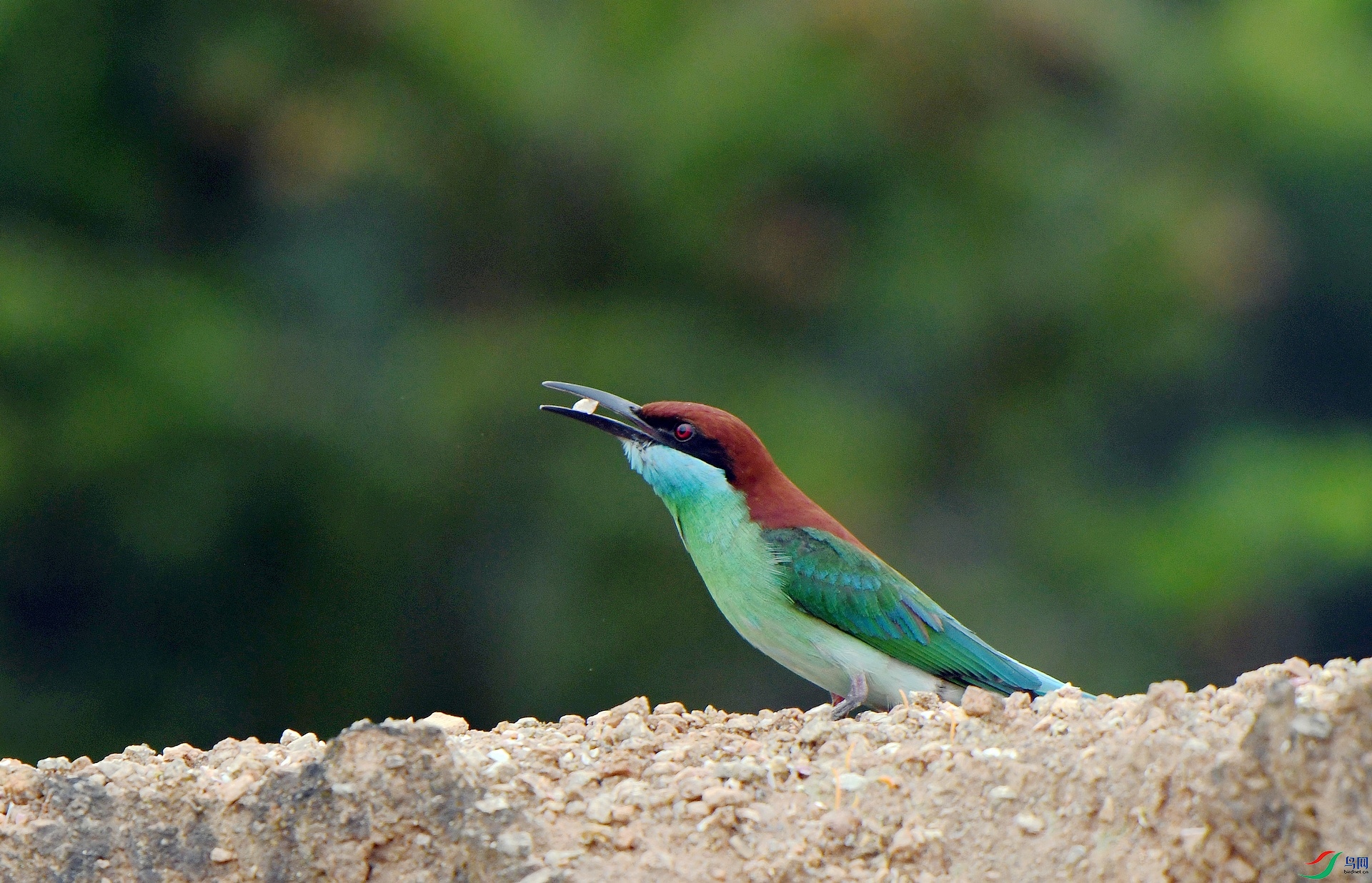 DSC_1670.jpg