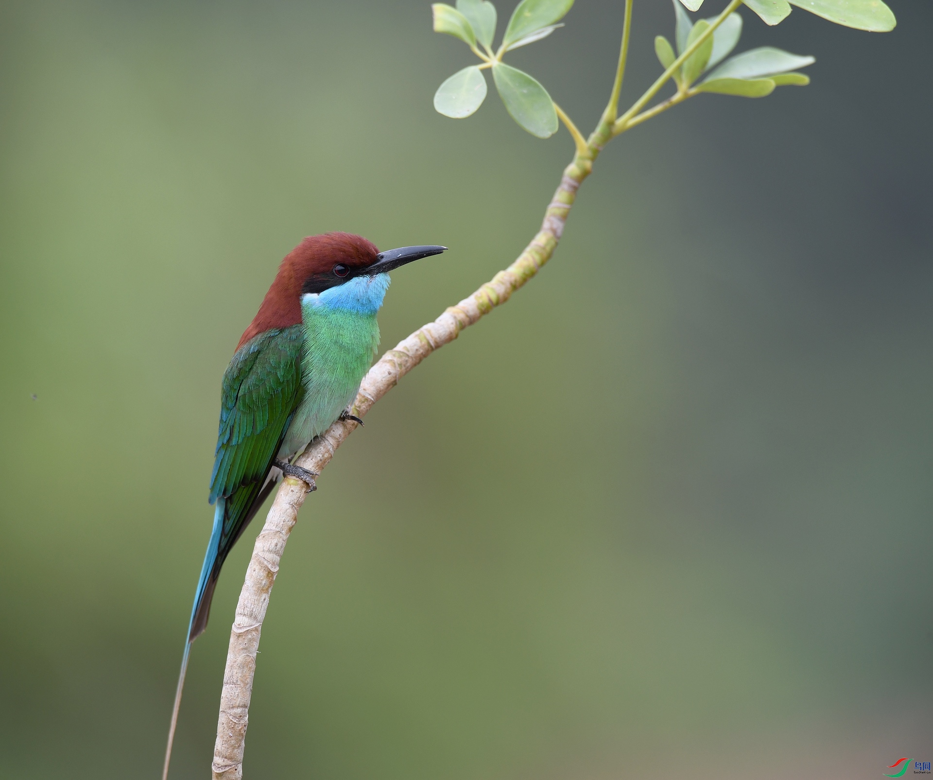 DSC_1031.jpg