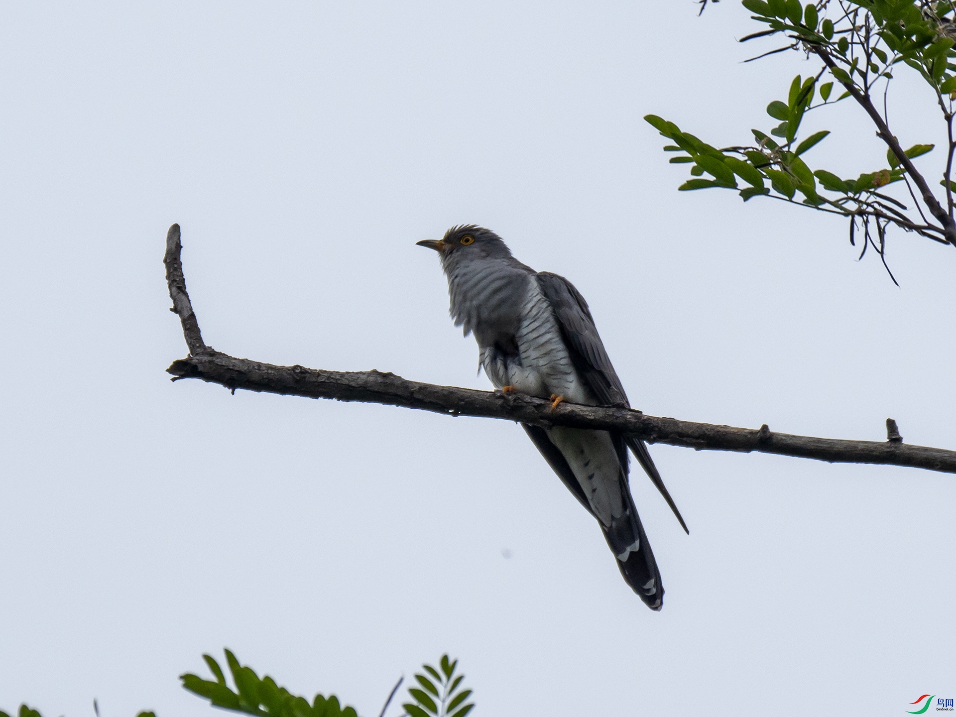 P5201589.jpg