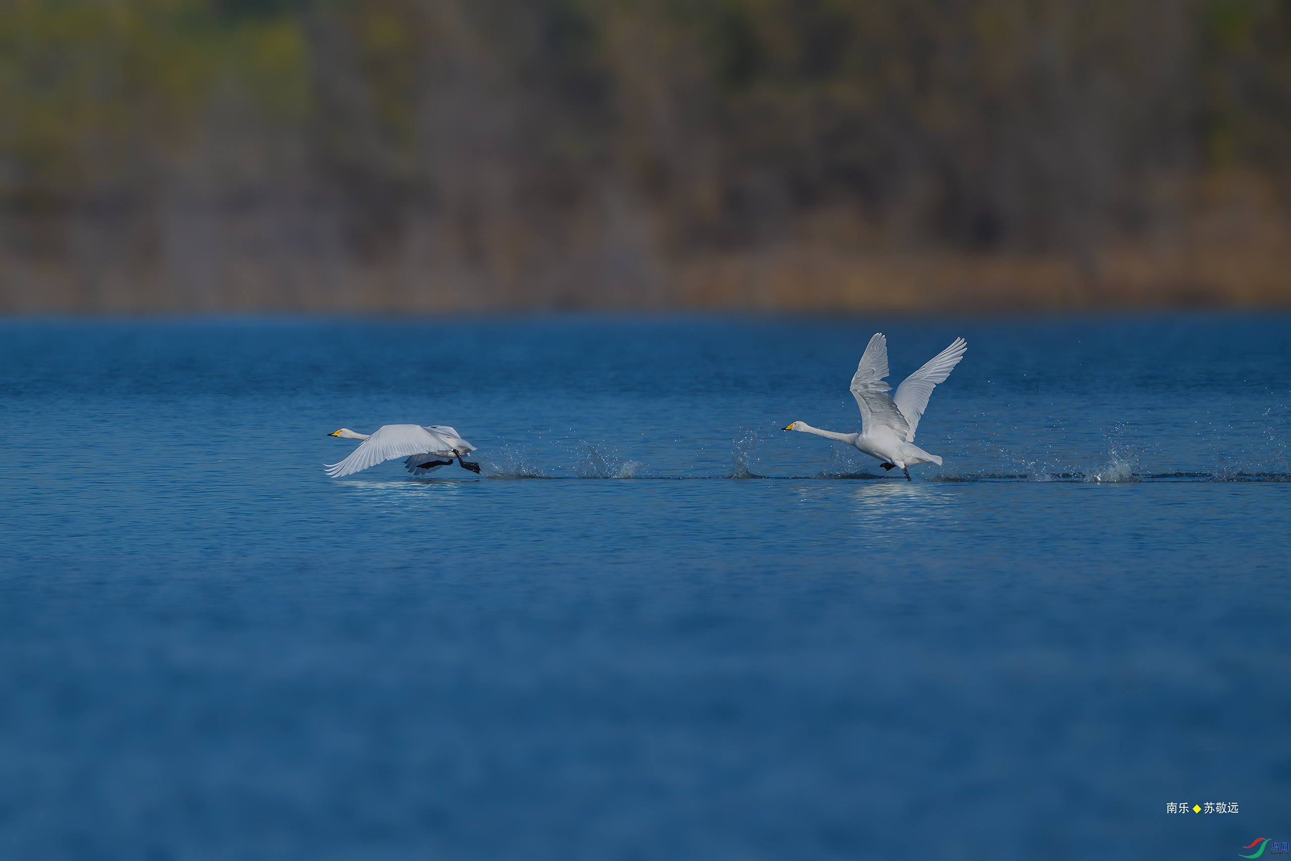 _DSC7632-DxO_С.jpg