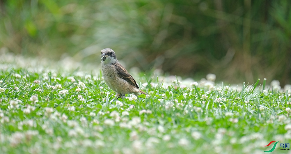 DSCF7253.1.jpg