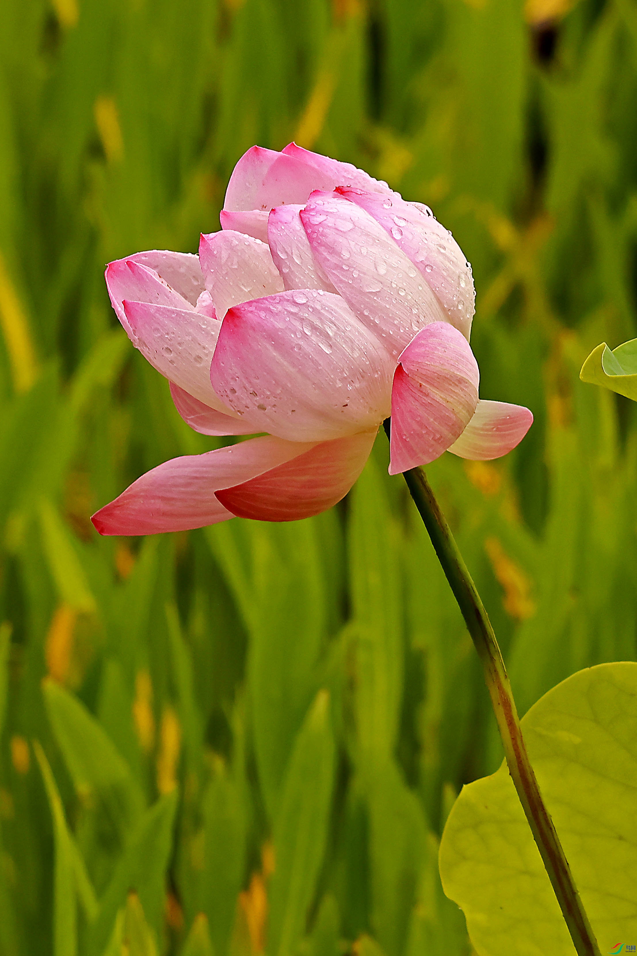 2G9A0330.JPG