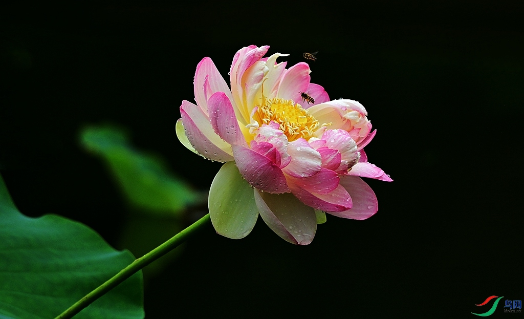 DSC_1576.JPG