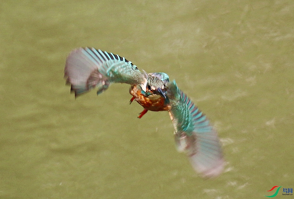 QQͼƬ20260610095226.jpg