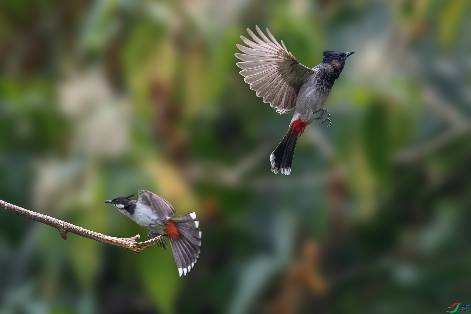 DSC_7245.jpg
