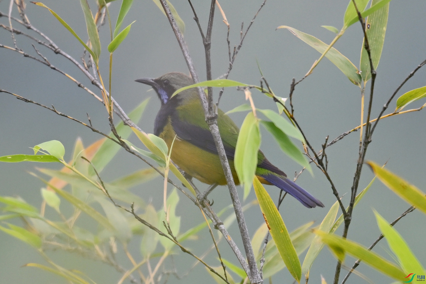 DSC_0466.JPG