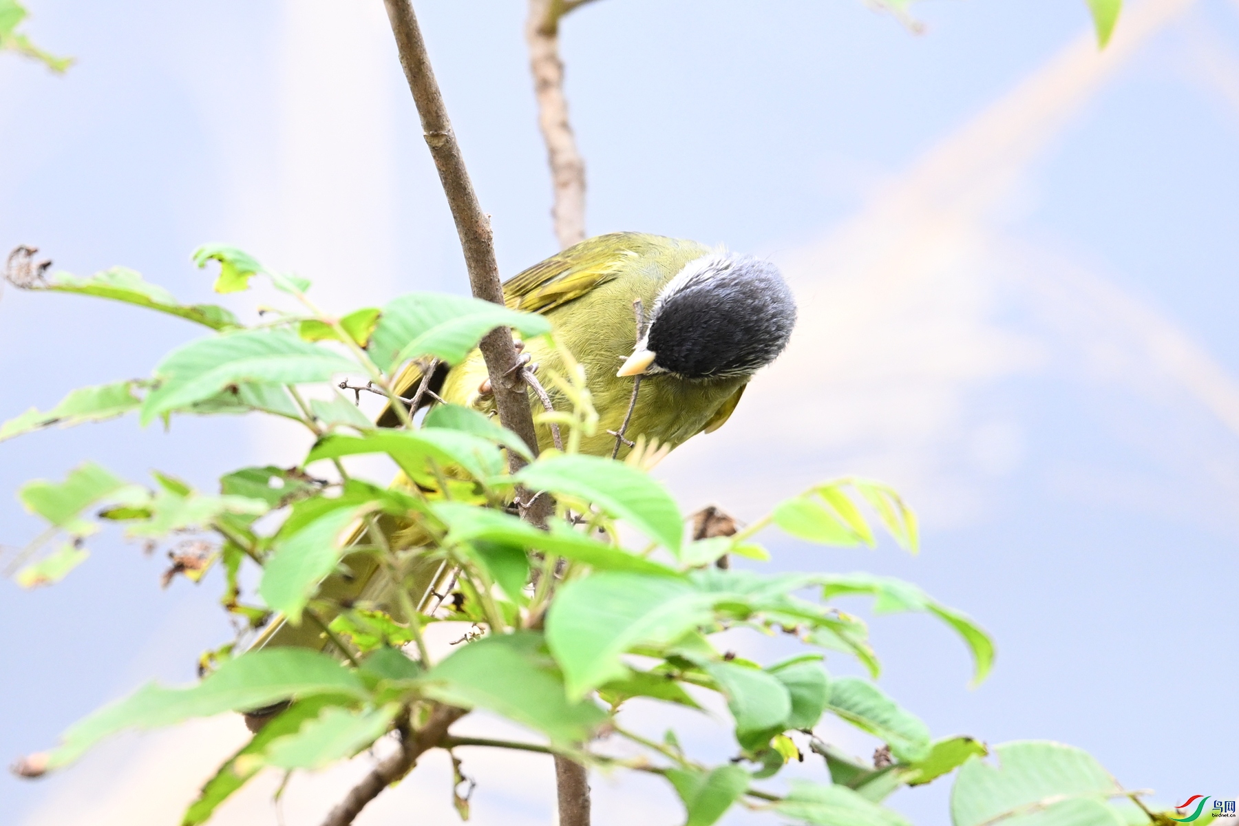 DSC_0457.JPG