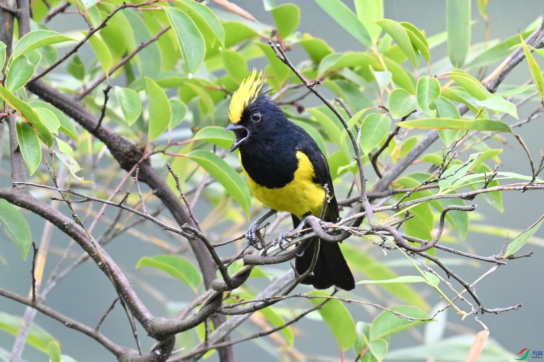 DSC_0478.JPG