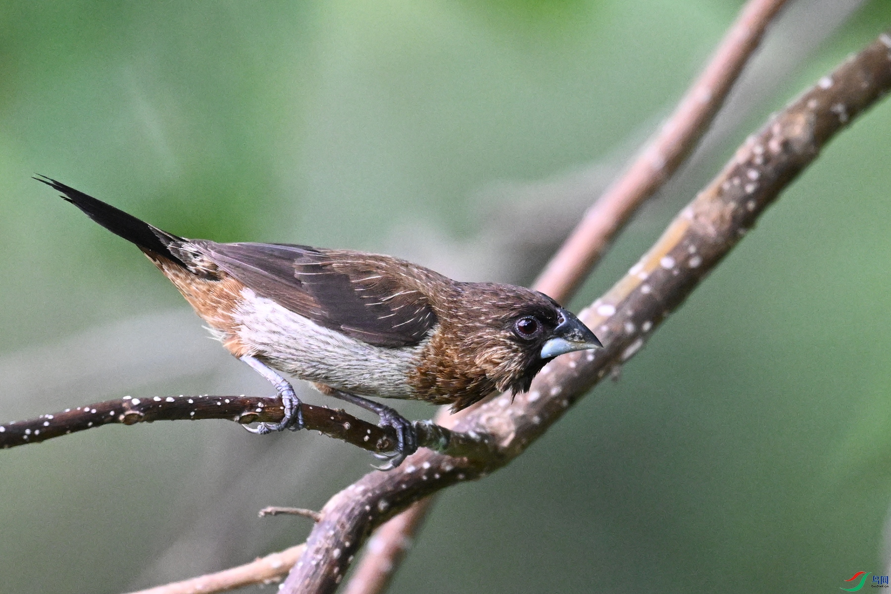 DSC_0090.JPG