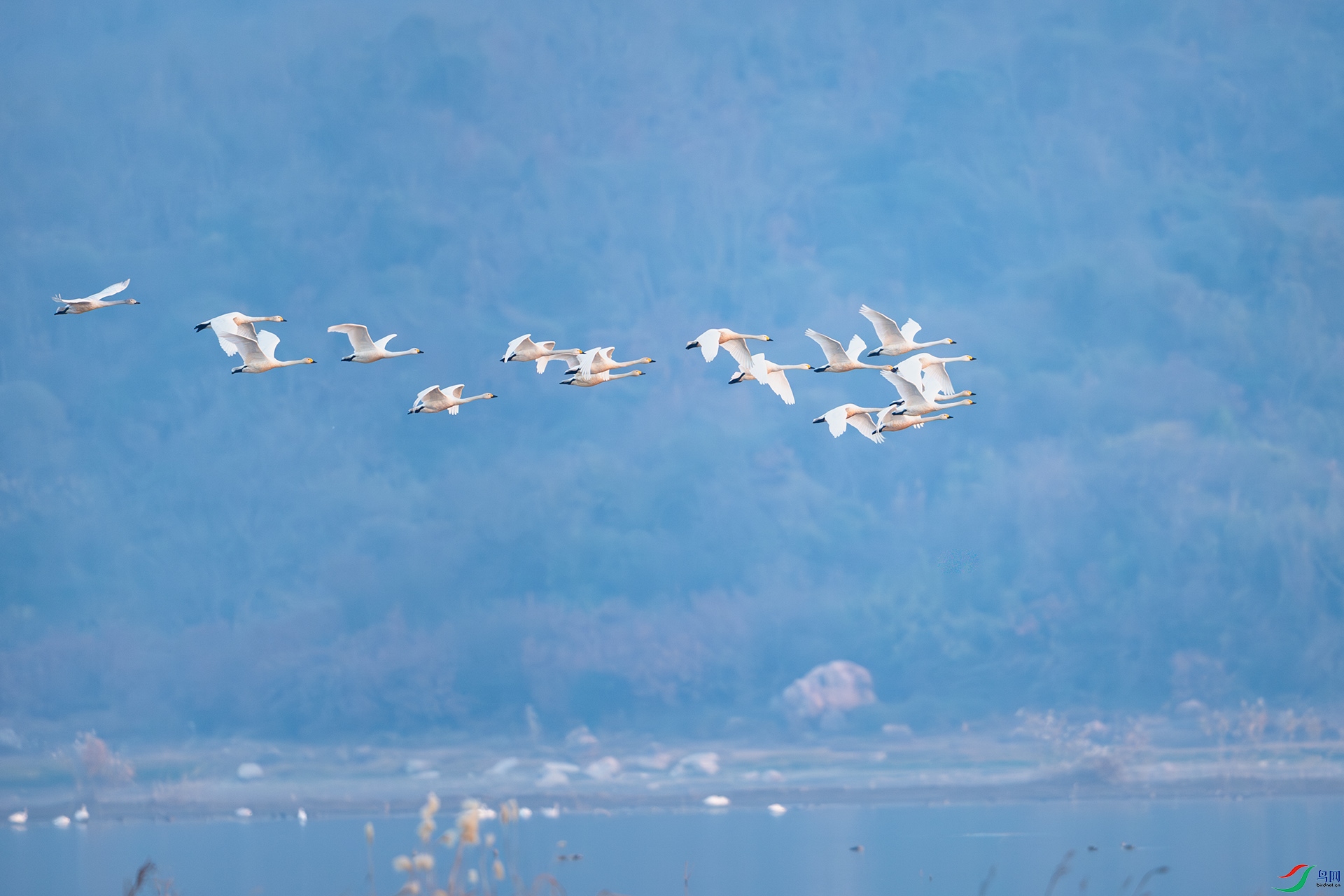 DSC_7130.jpg