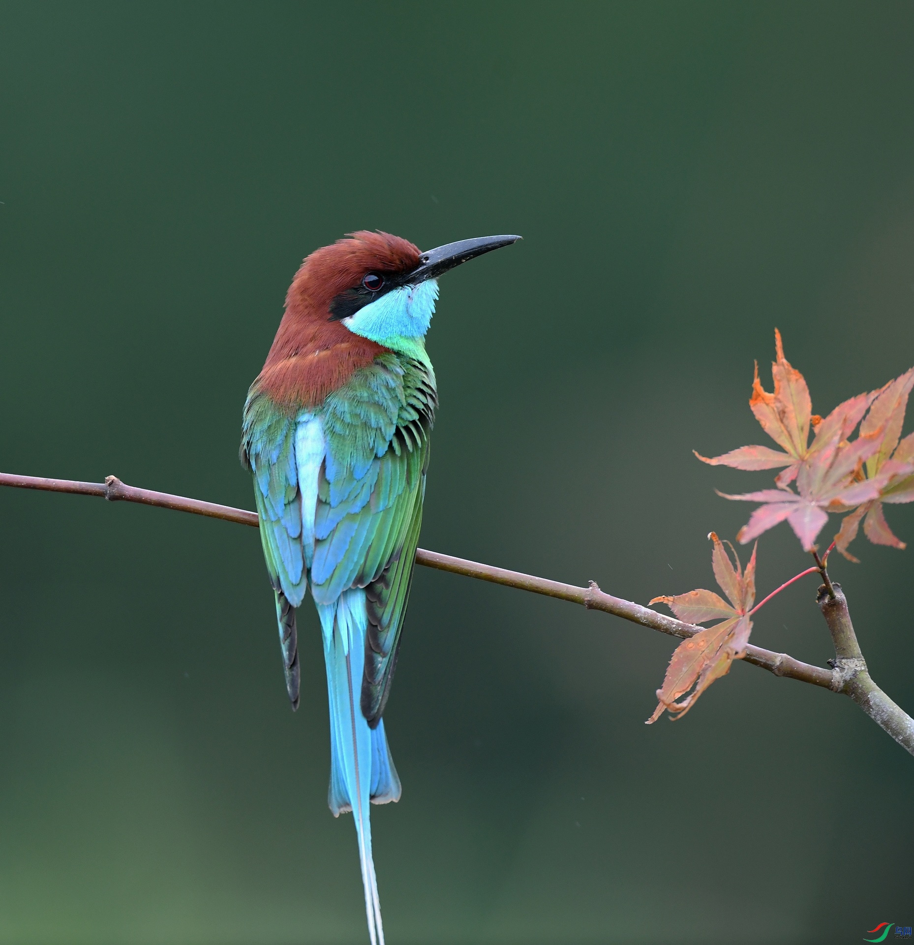 DSC_0494.jpg