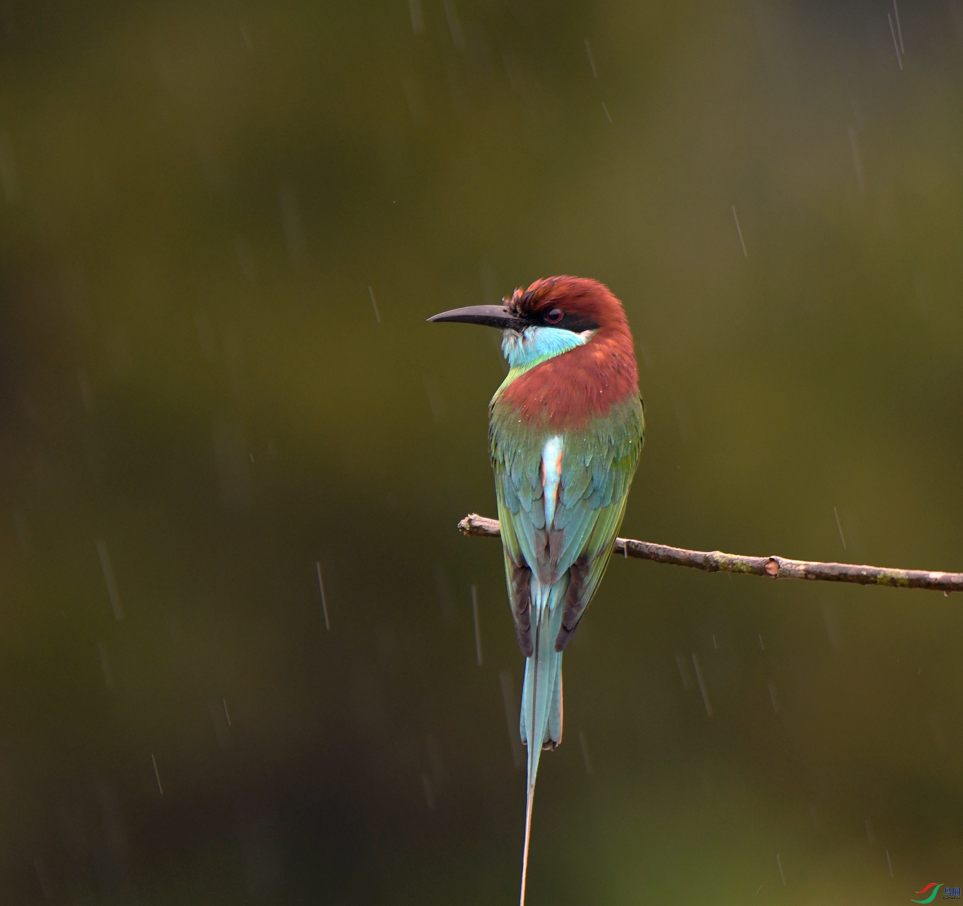DSC_0456.jpg