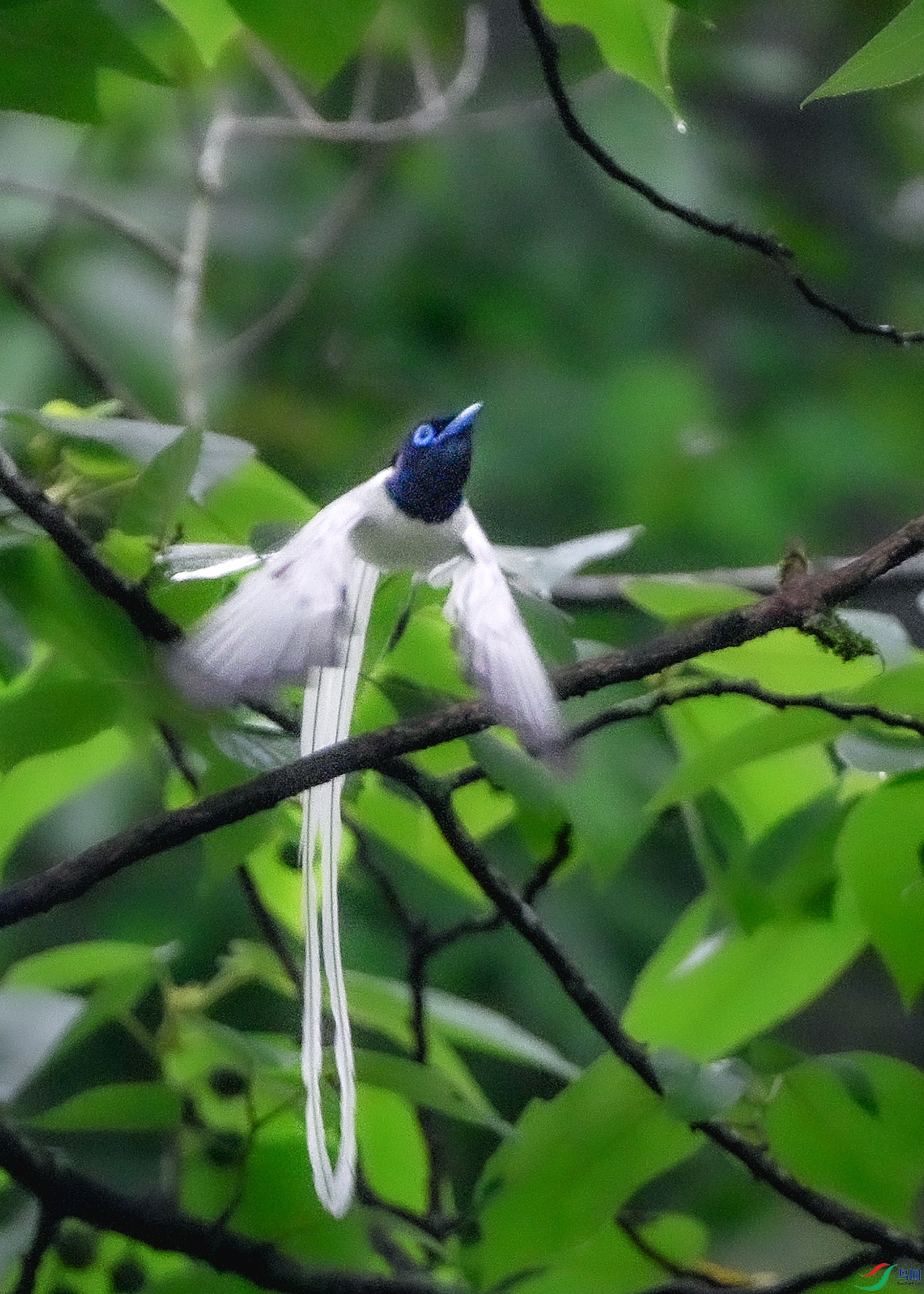 DSC_6817 .jpg