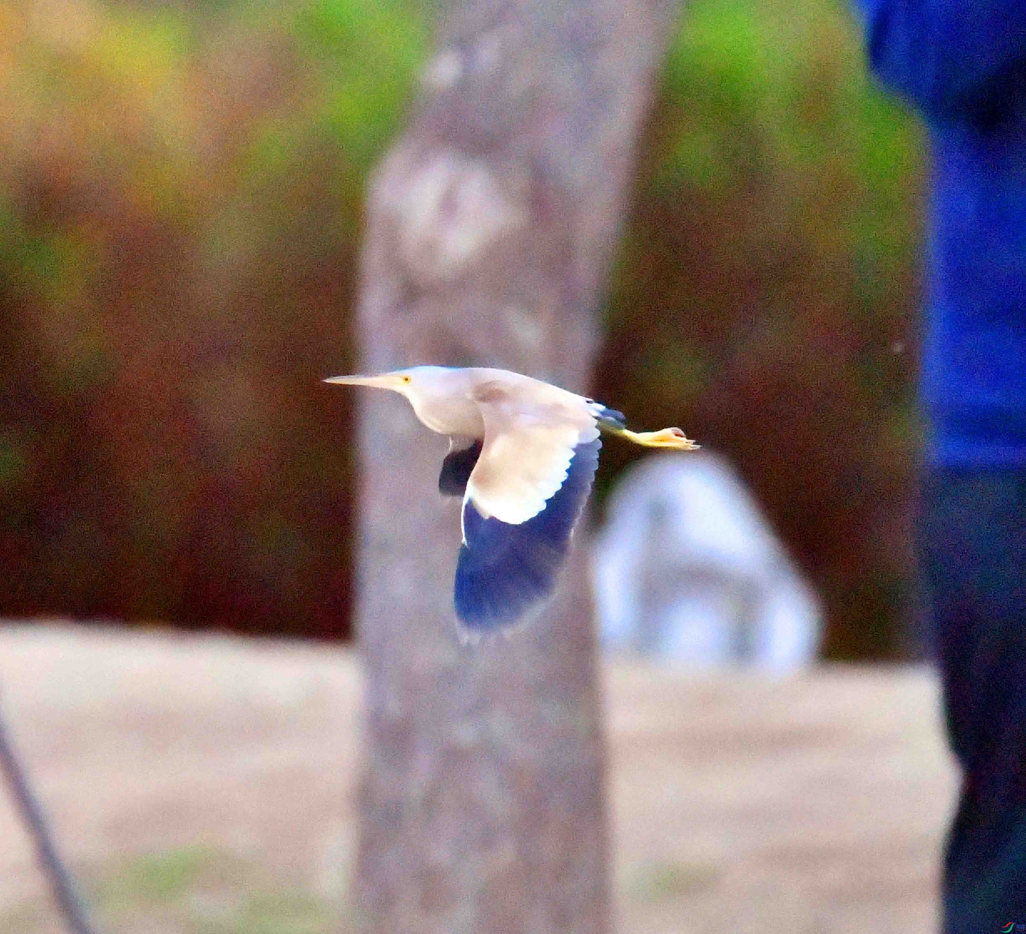 DSC_5084.JPG