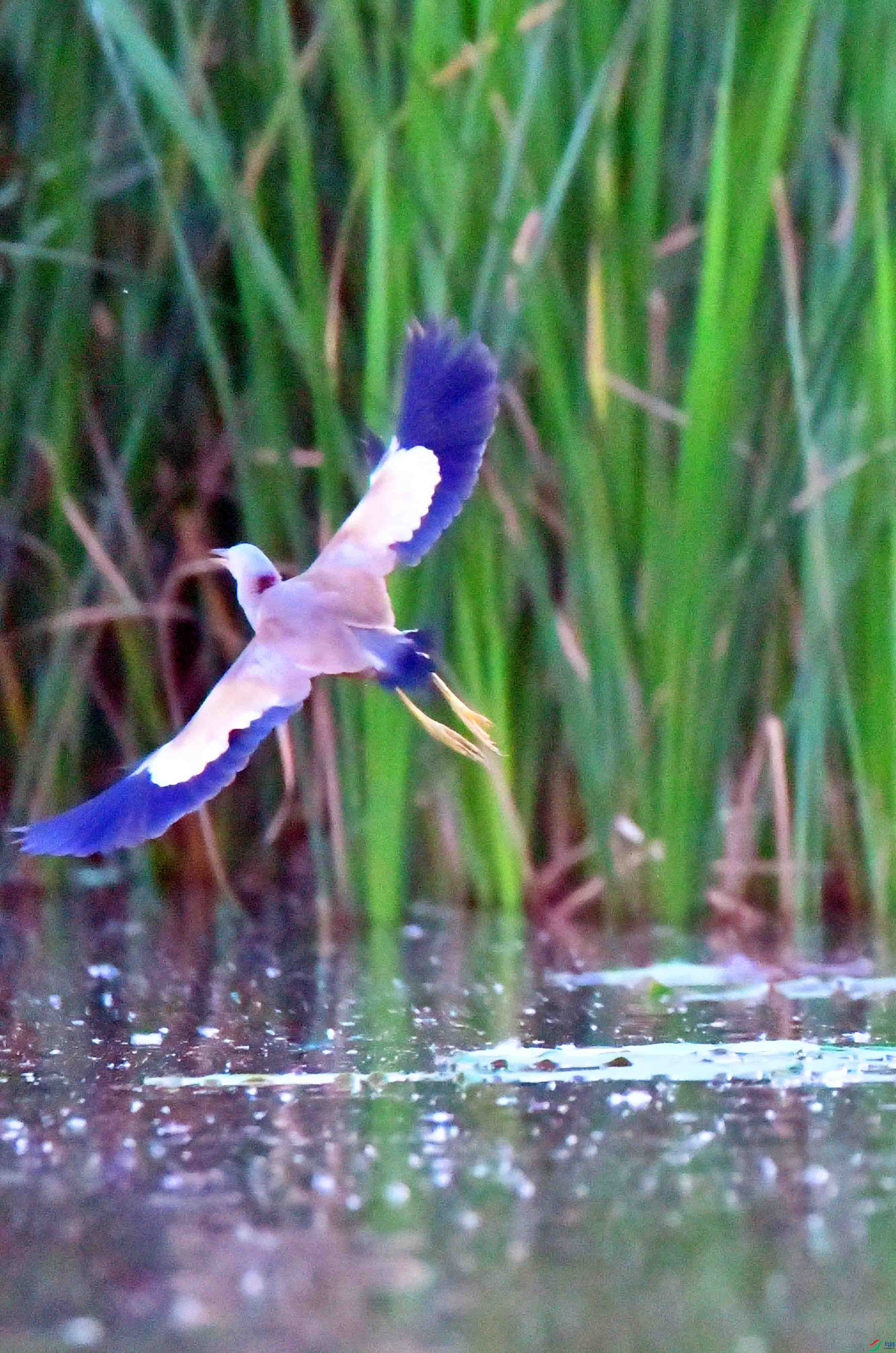 DSC_5082.JPG