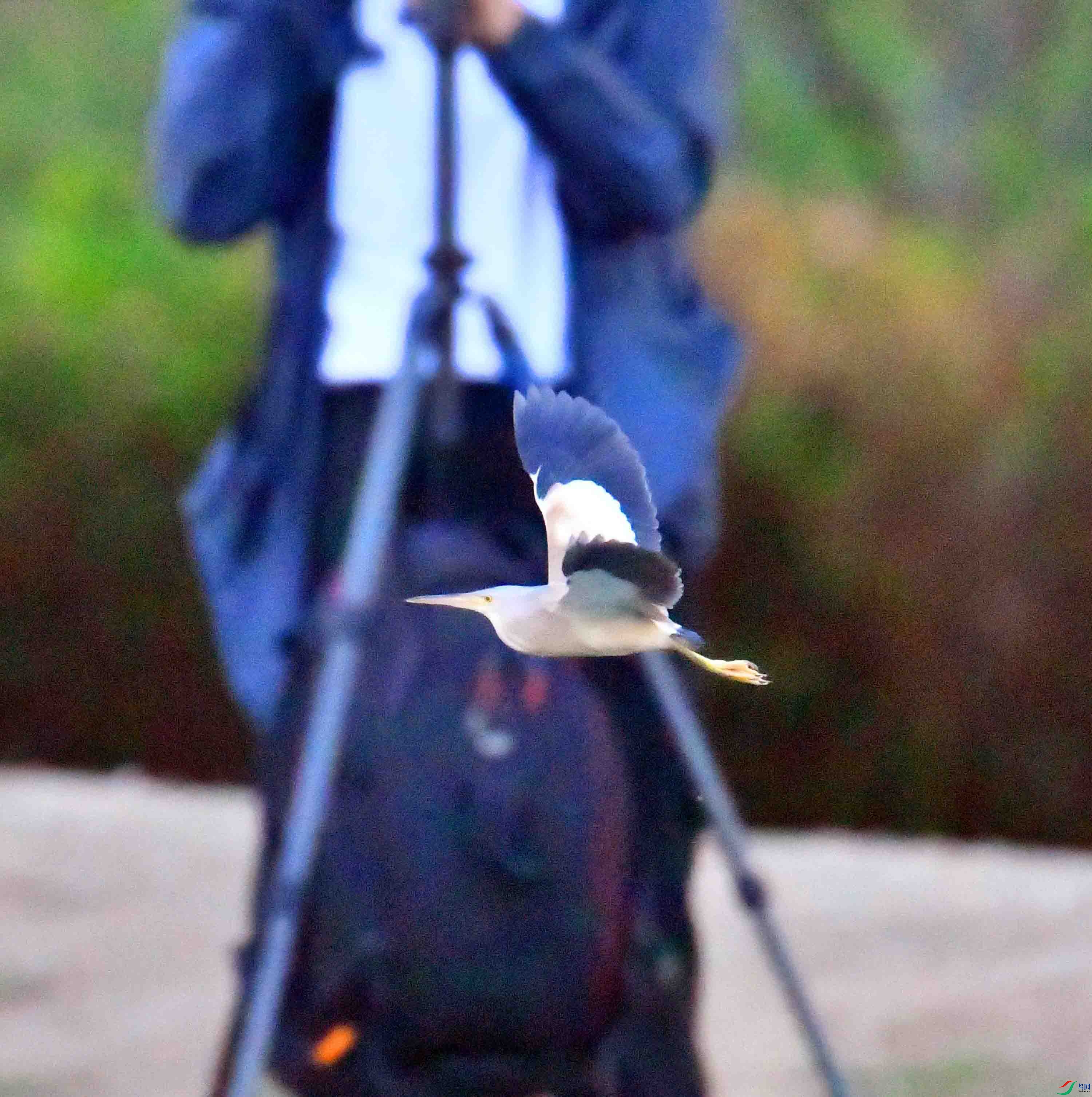 DSC_5085.JPG